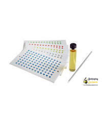 Professional Set for counting queens