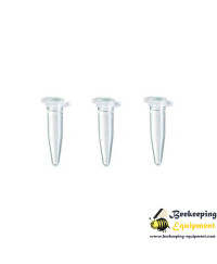 Ampoule  