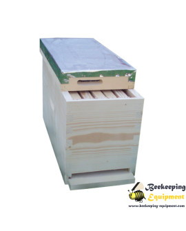Five frames hive