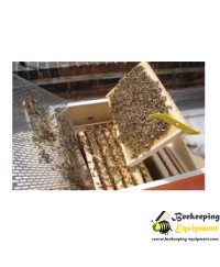 Biological bees 10 frames 