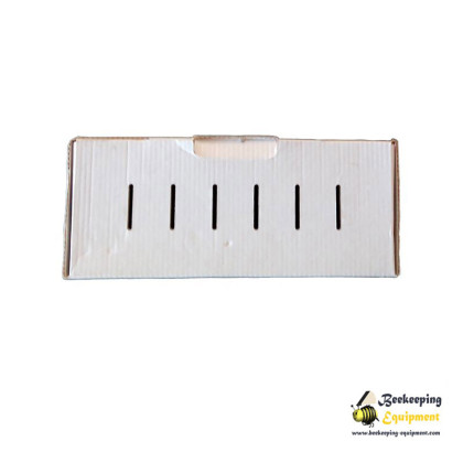 Queens Transport Box (100 pcs.)