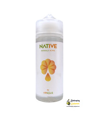 NATIVE SOLUTION FOR ELECTRONIC SMOKER APISOLIS